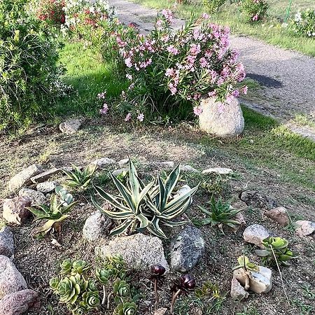 Villa Stazzo La Foci Soluzioni Vista Mare Aglientu Exterior foto