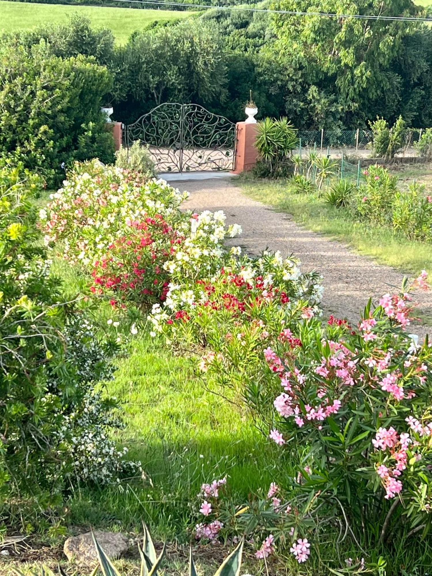 Villa Stazzo La Foci Soluzioni Vista Mare Aglientu Exterior foto