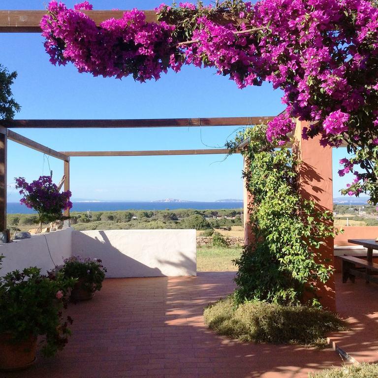 Villa Stazzo La Foci Soluzioni Vista Mare Aglientu Exterior foto